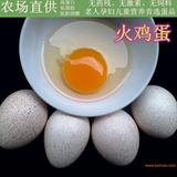 火鸡种蛋贝蒂娜青铜鲜蛋可孵化蛋受精蛋火鸡蛋宠物蛋纯种