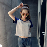 2016夏装新款韩版宽松大码休闲显瘦短袖T恤海豚刺绣短款女式上衣