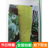 粘虫板/黄板/黄色黏虫板/杀虫板/诱虫板/黄色粘虫板/ 内含诱虫条