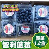 现货 新鲜水果 智利进口 有机蓝莓整箱12盒装 蓝莓鲜果北京配送