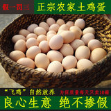 农村土鸡蛋 新鲜 农家散养 笨鸡蛋柴鸡蛋 山区特产土鸡蛋礼盒30枚