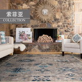 臻尚土耳其进口机织丙纶地毯 欧美客厅床边毯 索菲亚系列包邮