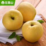 【花果山】辽宁黄元帅苹果12个 新鲜苹果 水果粉苹果 面苹果 包邮