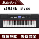 YAMAHA雅马哈NP-V60电子琴 NPV60成人儿童76键力度键仿钢琴