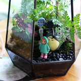 藤小圃创意龙猫苔藓微景观玻璃DIY生态瓶植物盆栽办公桌面摆件