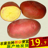 红皮土豆2015年新挖新鲜非转基因甘肃产地黄心洋芋马铃薯4斤包邮