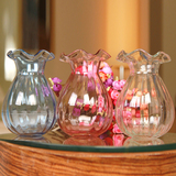 现代时尚彩色透明玻璃花瓶绿萝水培花器花欧式客厅装饰品插花器