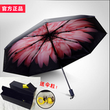 包邮正品外贸粉色小雏菊伞防紫外线黑胶晴雨伞遮阳伞太阳伞小黑伞
