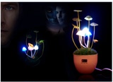 温馨浪漫会发光的仿真植物桌面LED小夜灯房间装饰品