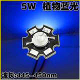 5W大功率LED灯珠植物蓝光 植物生长波长445-450蓝光LED  5W带基板