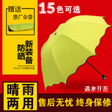 遇水开花晴雨两用伞折叠创意女太阳伞黑胶防紫外线遮阳伞15色可选