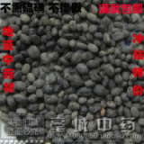 中药材 马料豆 野料豆 乌豆 细黑豆 稽豆 料豆 正品特价无硫500克