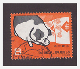 特40,5-5,养猪,邮票,邮票收藏,信銷票