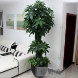 仿真树假树假花客厅装饰塑料树绿植物落地盆栽 2.1米步步高发财树