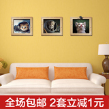 3d立体照片墙猫咪相框贴纸 宠物屋墙壁装饰画壁纸自粘可爱贴纸