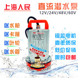 上海人民12V24V48V60V直流潜水泵抽水机电瓶车电动车家用抽水泵农