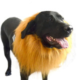 宠物狗狗搞笑狮子假发头套金毛拉布拉多装饰配饰发饰变身保暖饰品