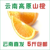 云南原生态褚橙禇储冰糖橙子 新鲜水果脐橙子 励志橙现摘5斤包邮