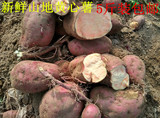 沂蒙山新鲜红薯地瓜 家自种 生番薯 黄心山芋 香薯红心烤地瓜专用