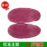 红玉土豆 红瓤土豆 红玫瑰红皮红心土豆 红宝石土豆种子 一级原种