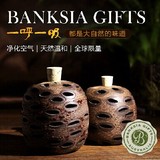 澳洲Banksia 纯手工打造山龙眼精油香薰座 创意 新奇特礼物装饰品