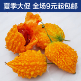 水果赖/癞葡萄种子小癞瓜种子 金癞瓜阳台盆栽水果四季蔬菜种子