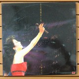 徐小凤 金光灿烂徐小凤演唱会1987 黑胶唱片LP 双碟95新