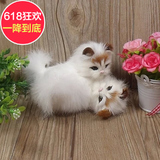 精品真皮毛仿真斗猫咪家居摆件饰品模型小猫模型儿童玩具仿真动物