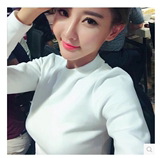 2015秋季女装纯色长袖女T恤 韩版修身纯棉上衣立领小高领打底衫女