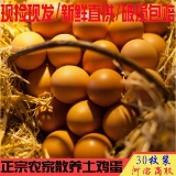 农家新鲜包装盒散养礼盒纯天然双莲土鸡蛋40枚装农村散养草鸡蛋