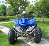 大恐龙沙滩车\10寸铝轮-110-125蓝色款 液晶表 四轮越野沙滩车ATV