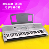雅马哈电子琴61键成人KB-290 KB专业考级力度键儿童教学kb290银色