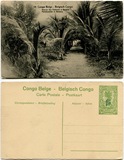 1910年代比属刚果香蕉棕榈夹道邮资片改值