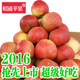 2016新货 云南昭通冰糖心野生丑苹果红富士新鲜水果10斤八月发货