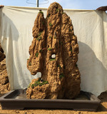 天然吸水石 上水石原石 水池假山造型 居家盆景50 厘米加湿器