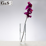G&S金绅 透明玻璃花瓶简约时尚家居酒店装饰餐桌台面四方小花瓶