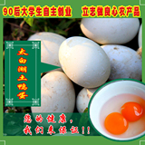 土鸭蛋农家散养新鲜生态鸭蛋绿色有机无公害 草 土鸭蛋30枚包邮