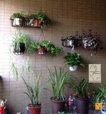 绿都铁艺花架壁挂墙上室内阳台栏杆种菜盆栽多肉植物架多层花架子
