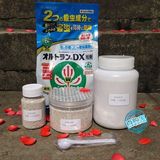 杀虫药 日本进口 DX颗粒剂杀虫药 多肉植物 园艺 内吸式杀虫剂