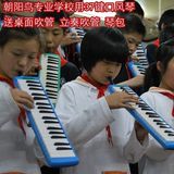 SDG口风琴37键免邮学生口风琴初学手风琴朝阳鸟专业成人演奏乐器