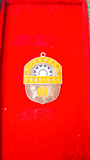 红色收藏证章徽章纪念章《27年北伐胜利负伤奖章》包老包退