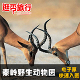 【短信快速入园】西安秦岭野生动物园景区门票 陕西旅游自由行