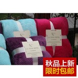 法兰绒毛毯网眼菠萝纹纯色加厚单双人毛毯冬季床单毯盖毯新品特价