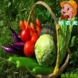 新农夫农家绿色新鲜有机自选蔬菜套餐6~10种蔬菜配送广东顺丰包邮