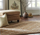 包邮 印度进口客厅地毯 卧室沙发茶几纯羊毛手工现代时尚北欧宜家