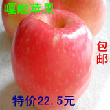 包邮5斤嘎啦苹果烟台苹果非红富士胜阿克苏冰糖心绿色有机农产品