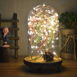 璃罩实木台灯复古温馨床头灯 LED个性创意生日礼物酒吧台灯北欧玻