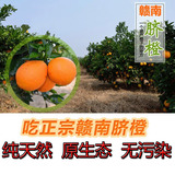 赣南赣州 信丰 寻乌脐橙 夏橙冰糖橙新鲜水果甜橙子10/20斤Φ80mm