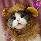 *摩卡喵*宠物猫咪猫猫狗狗饰品 狮子熊猫假发头套变身装帽子