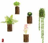 原木树桩仿真植物创意壁挂花盆简约家居壁饰立体墙壁挂件装饰挂饰